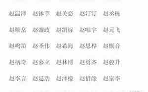 姓赵的一些好名字