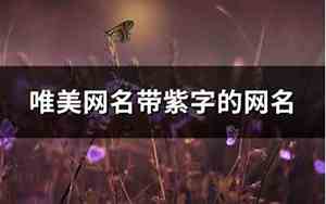 带紫字的网名