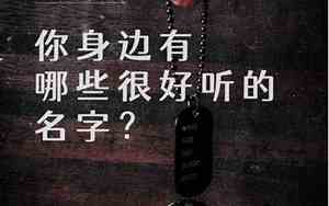 名字很好听