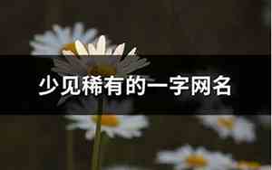 少见的网名