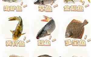 各种鱼类回收公司名字