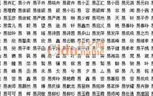 易姓龙宝宝名字大全