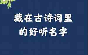 古言里好听的名字
