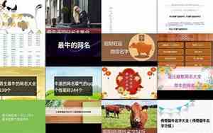关于牛的网名