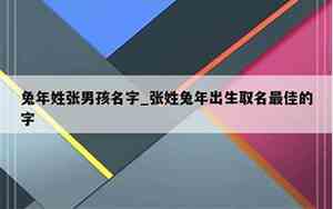 男孩名字姓张兔宝宝取名