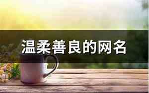 善良的网名