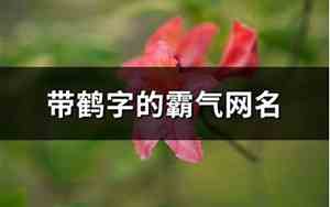 带鹤的网名