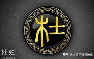 杜姓氏女宝宝名字