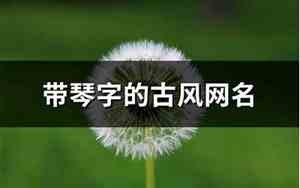带琴字的网名有气质