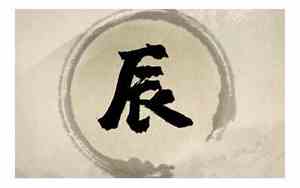 含辰字的好名字