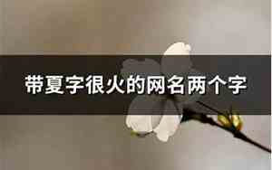 很火的网名