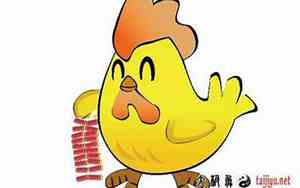刘氏鸡宝宝女孩名字