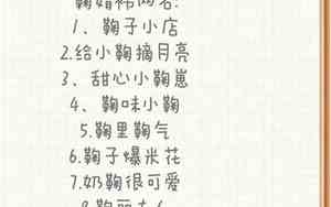关于婧的网名