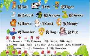 十二生肖谁英语好听