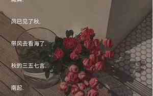 文艺点的网名