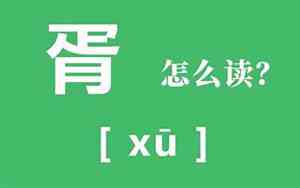 有赵和胥的好名字吗