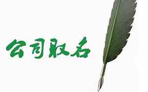 公司起名带烁字好吗