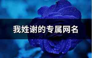 带谢的网名