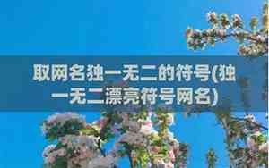 取网名独一无二的