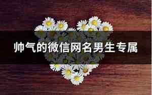 最帅气的网名