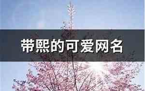 带熙的网名