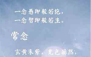 好听的道家静修名字