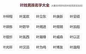 叶姓公司名字