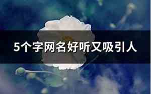 5个字网名好听又吸引人