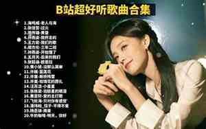 好听的vip歌曲神曲