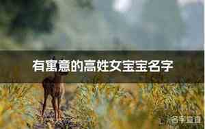 乐宝宝高端大气名字