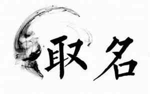 你遇到的苗姓好名字