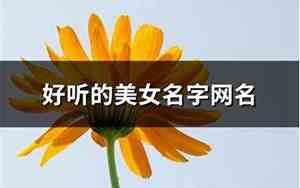 好听的优雅的网名