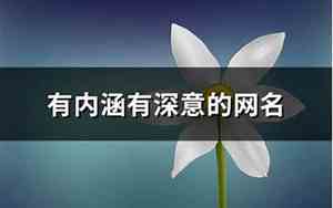 内涵的网名