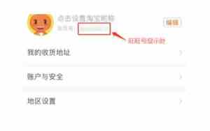 旺旺号用公司名字