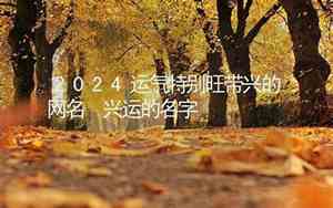 带兴的网名