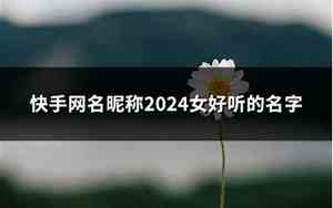 快手网名好听的