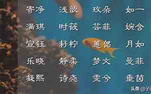 唐诗里的女宝宝名字