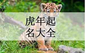 名字大全虎宝宝墨