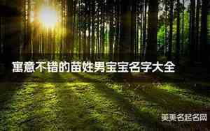 2020苗姓男宝宝名字