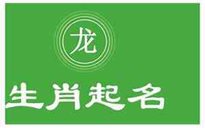 属龙的公司起名宜用字吗
