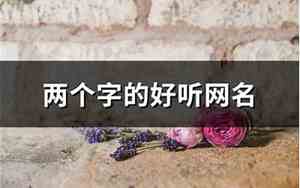 两个字的好听的网名