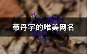 丹网名