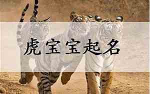 属虎姓翟男宝宝名字