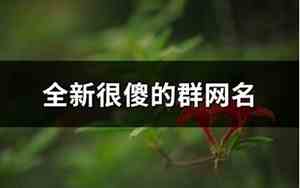 傻的网名