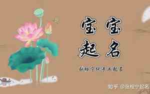 兔年宝宝徐氏名字