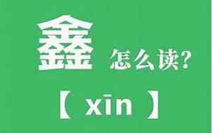 公司名字鑫开头