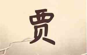 牛宝宝贾姓名字