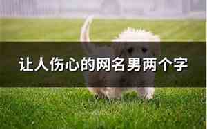 伤心网名男