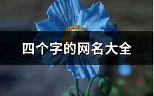 四个兄弟网名