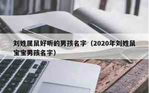 属鼠年姓刘男宝宝名字